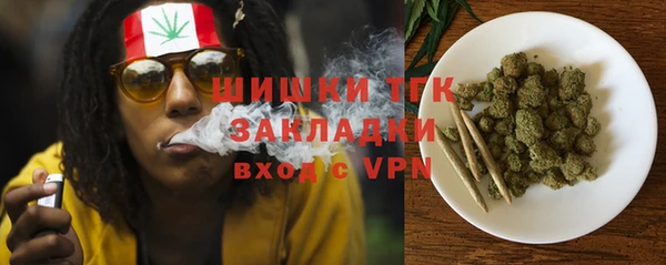 mdpv Горняк